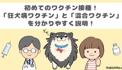 初めてのワクチン接種！「狂犬病ワクチン」と「混合ワクチン」について初めてでも分かりやすく説明します！