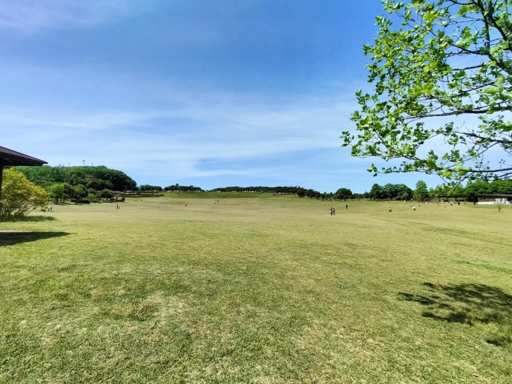 大きな芝生広場