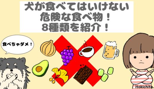 犬が食べてはいけない危険な食べ物！8種類を紹介！食べてしまった時の対処についても紹介！