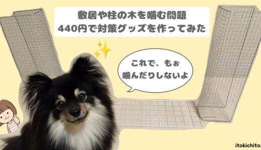 ポメラニアンの愛犬が敷居や柱の木を噛む問題を解決できた手作り対策グッズの作り方を紹介！