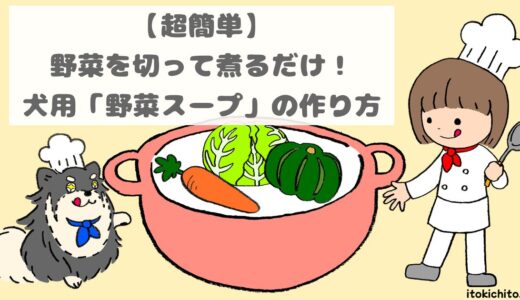 【超簡単】野菜を切って煮るだけ！犬用「野菜スープ」の作り方