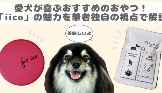 愛犬家の方や愛犬が喜ぶおやつ！「iico」の魅力を筆者独自の視点で解説