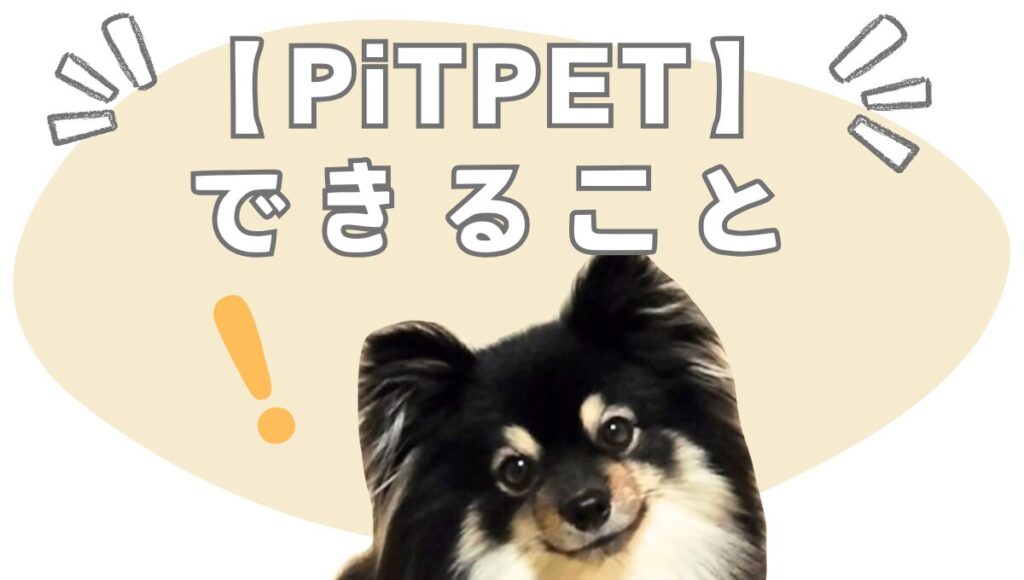 【PiTPET】でできること