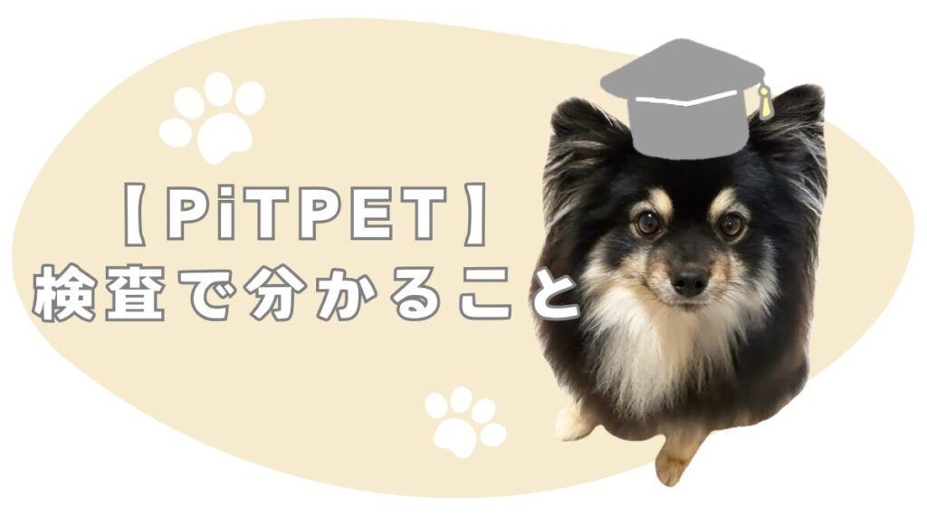 【PiTPET】の検査で分かること