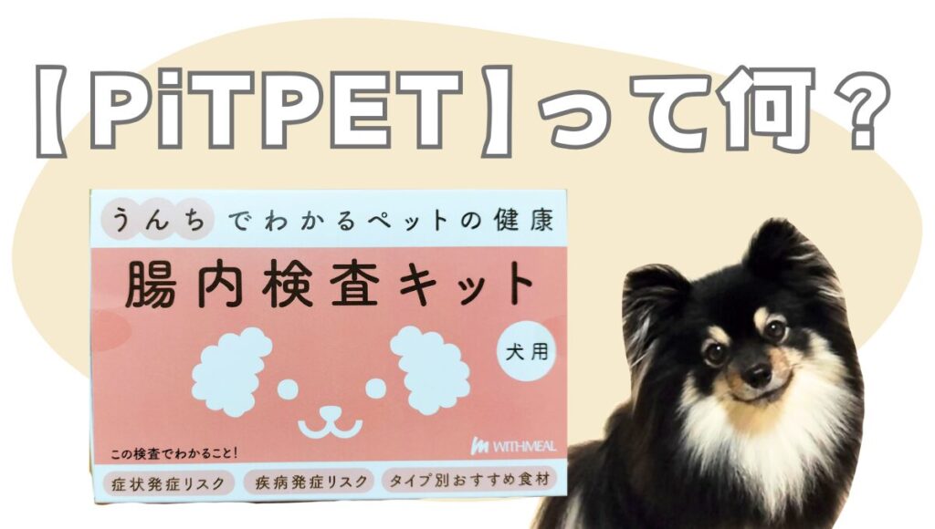 【PiTPET】って何？