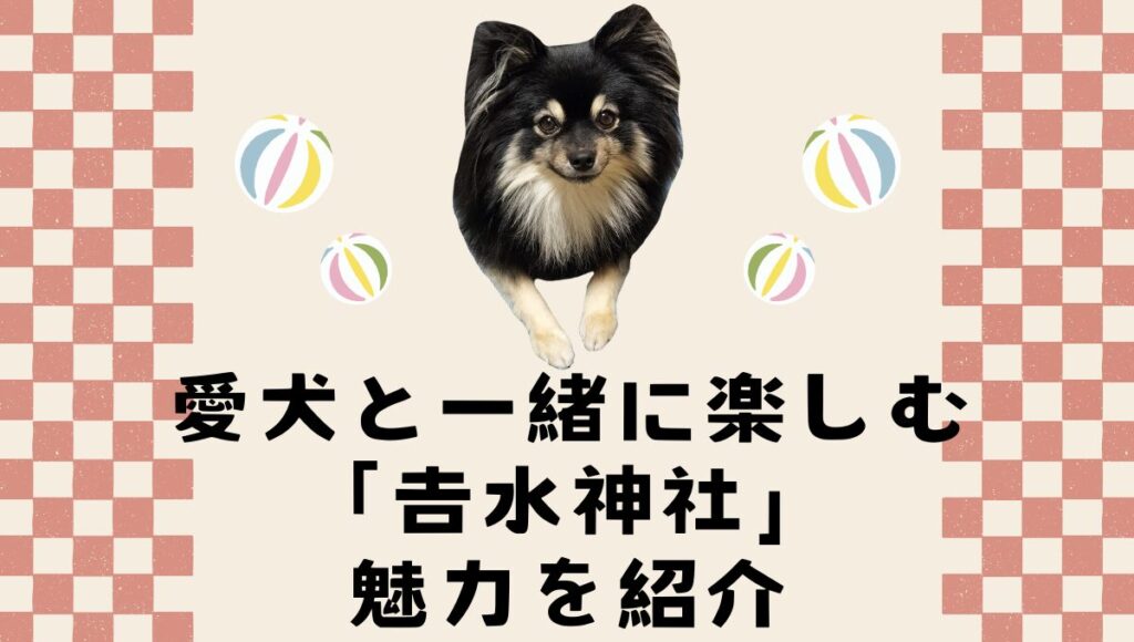 愛犬と一緒に楽しむ「𠮷水神社」の魅力を紹介