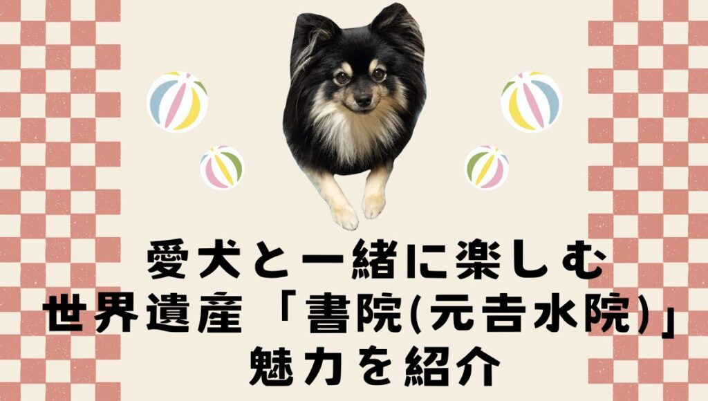 愛犬と一緒に楽しむ世界遺産「書院（元𠮷水院）」の魅力を紹介