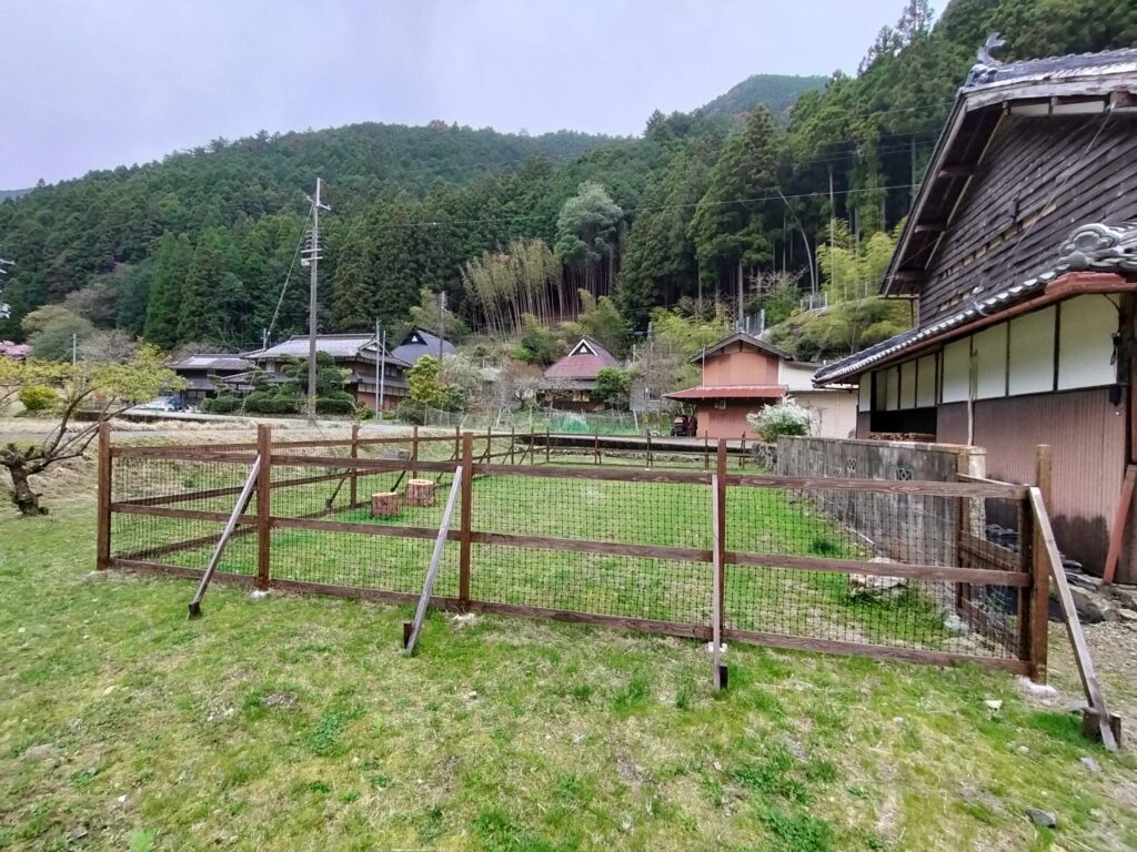 くるりドッグラン