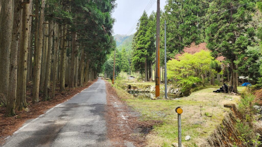 くるり周辺の森
