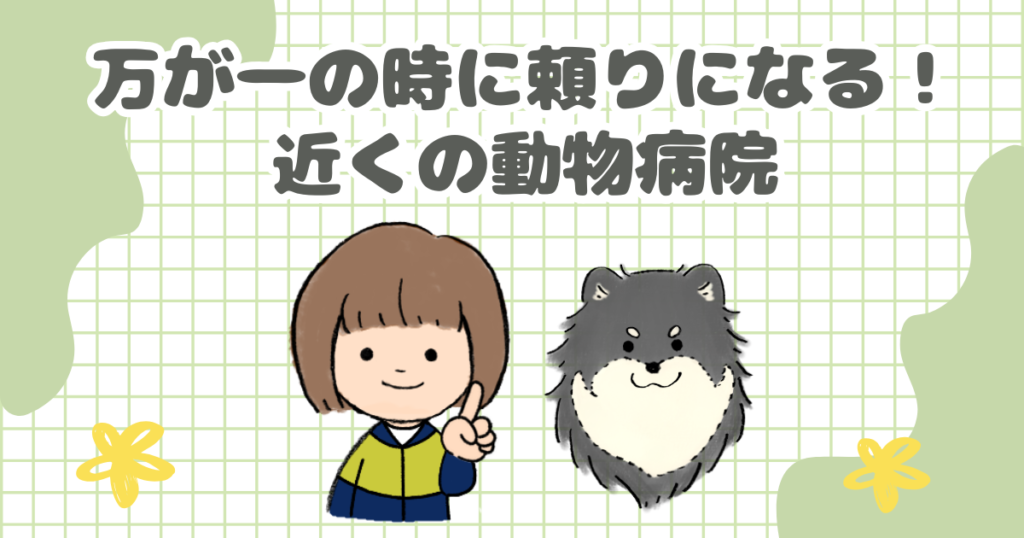 万が一の時に頼りになる！近くの動物病院
