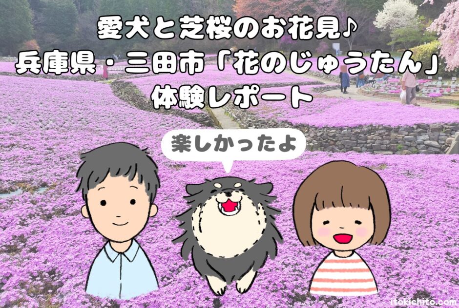 花のじゅうたんアイキャッチ画像