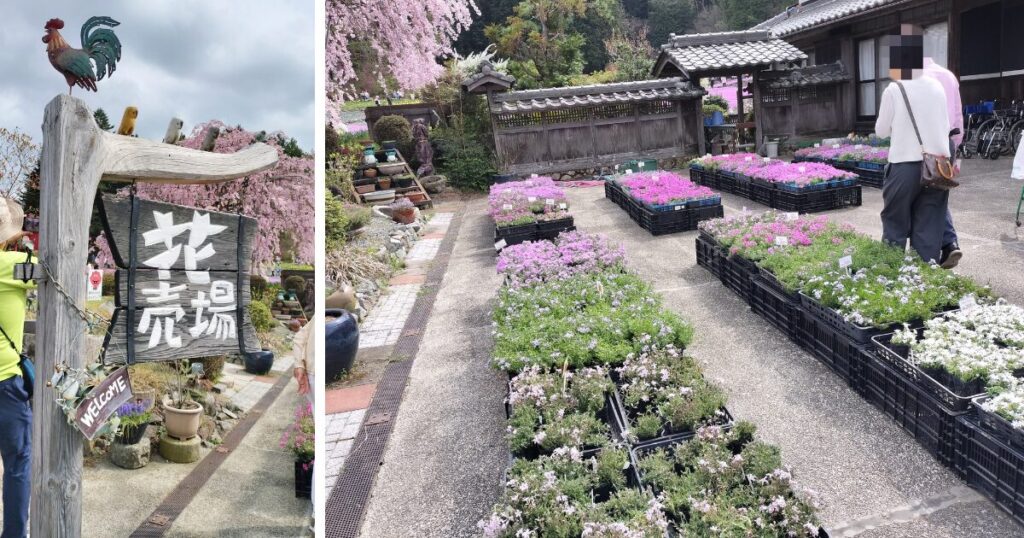 花売場