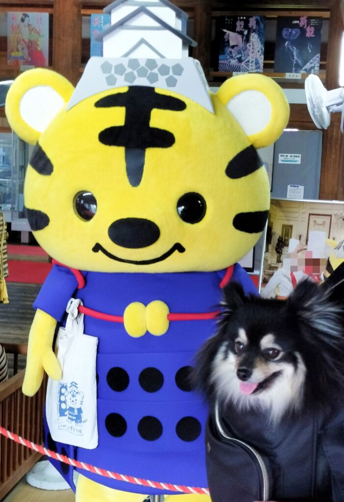 た伊賀ーくん