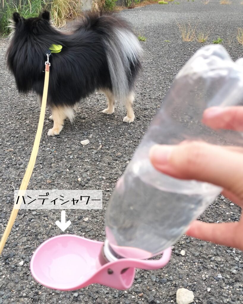 ハンディシャワー