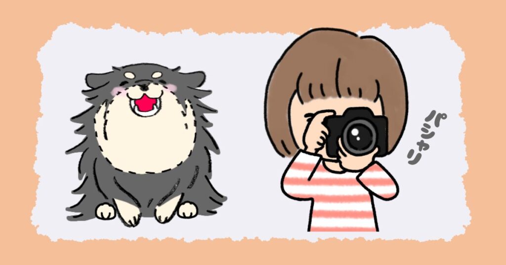 写真スポット
