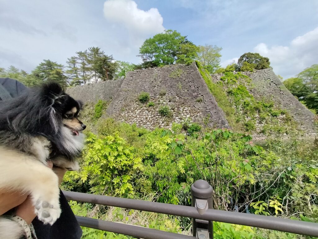 外側から見た高石垣