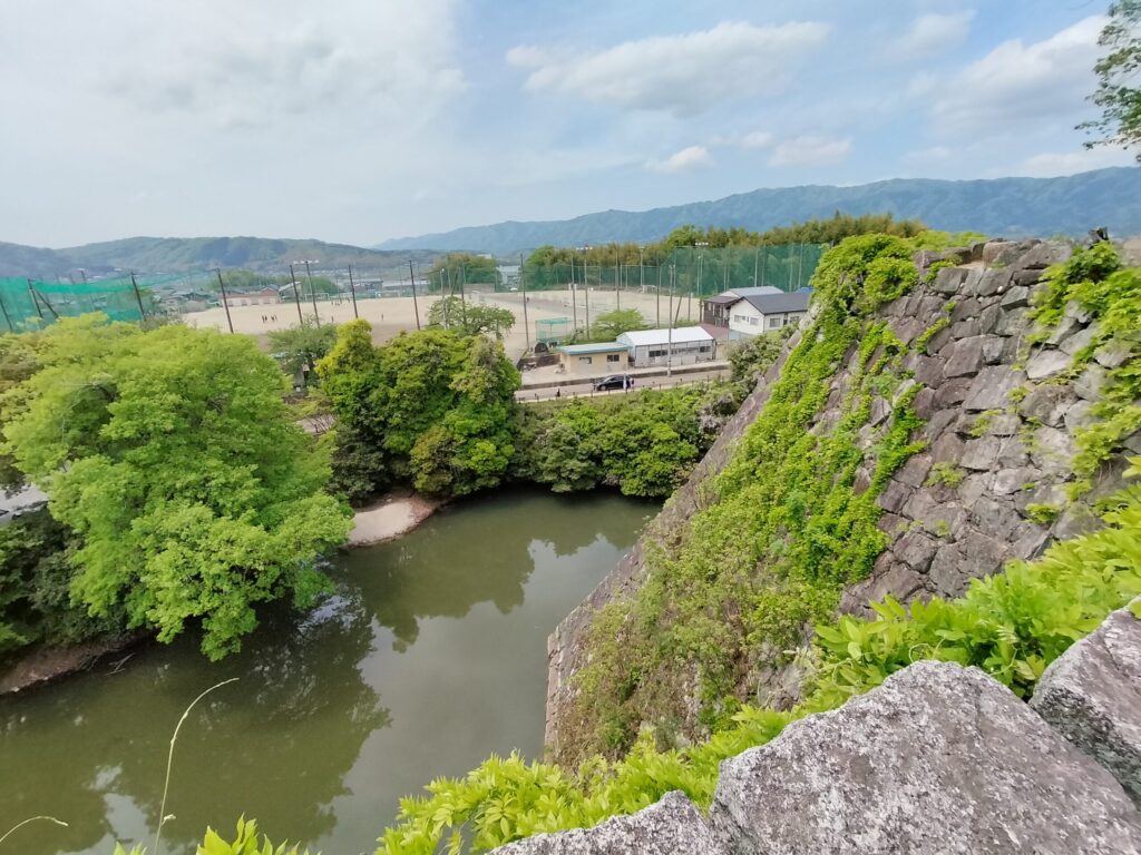 敷地内から見た高石垣