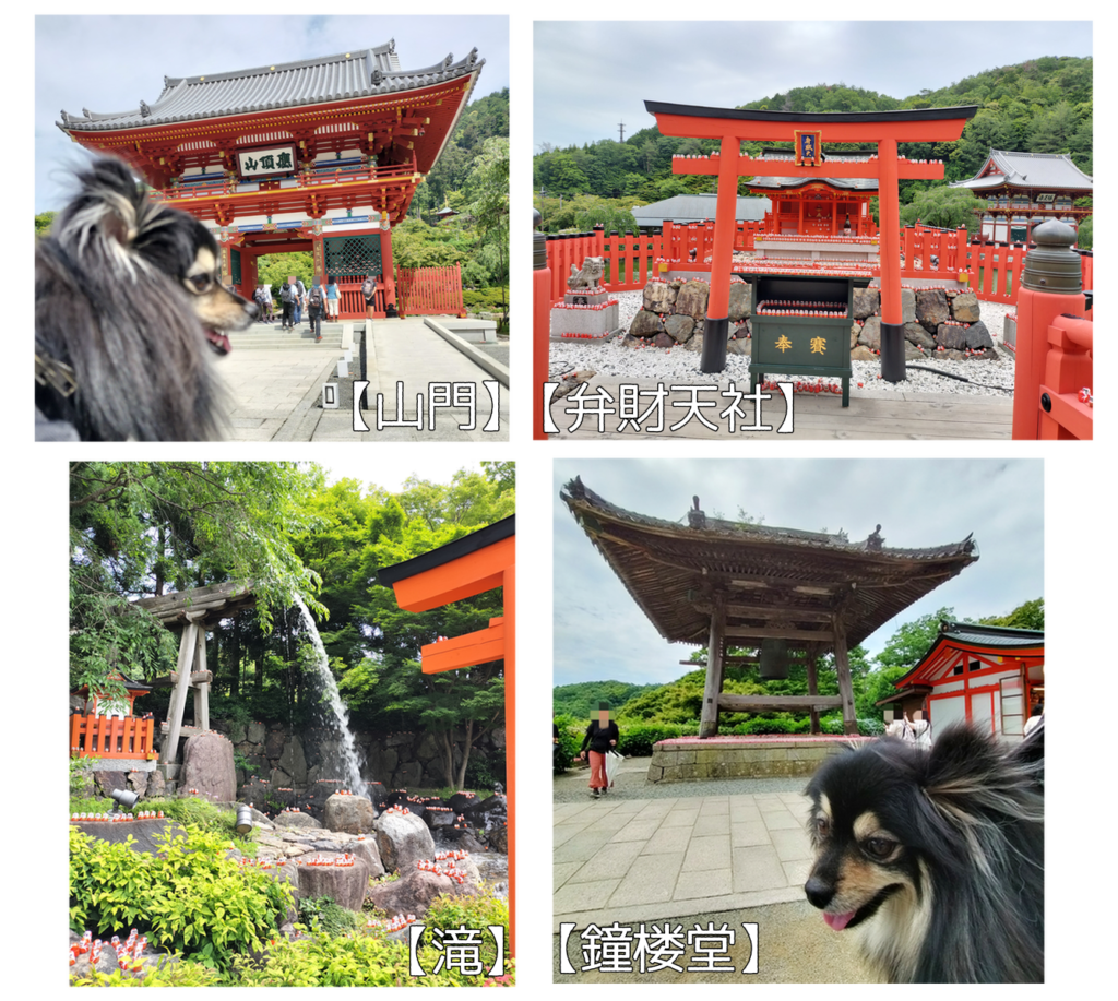 勝尾寺-数々の魅力あふれるスポット