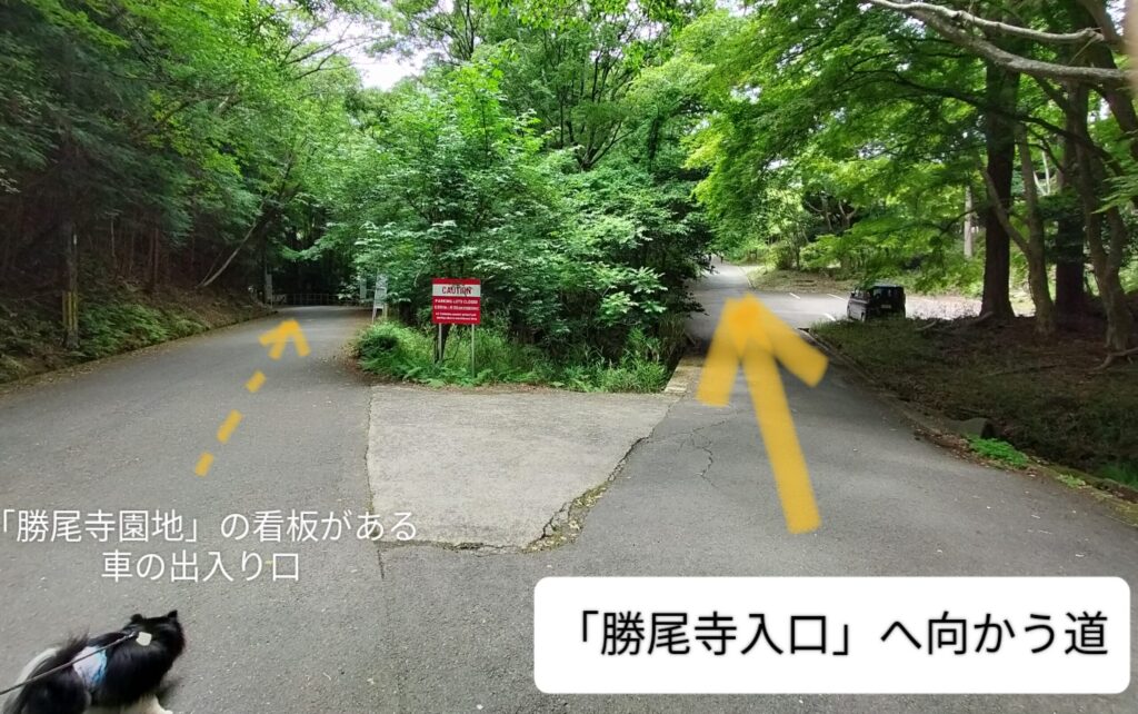 勝尾寺入口までの道