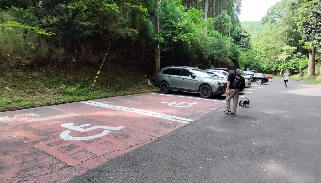 駐車場車椅子スペース
