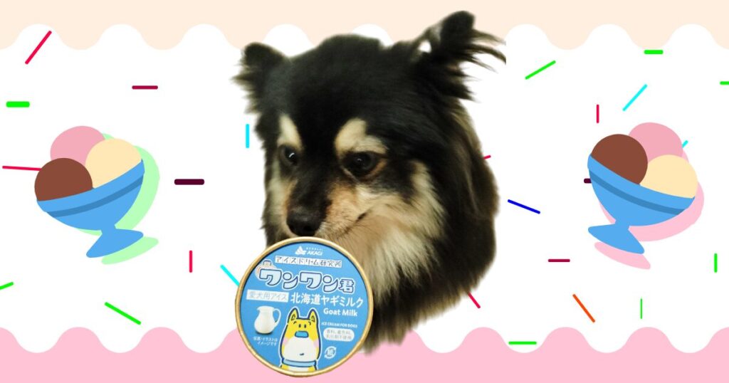 ワンワン君と（いち実写）