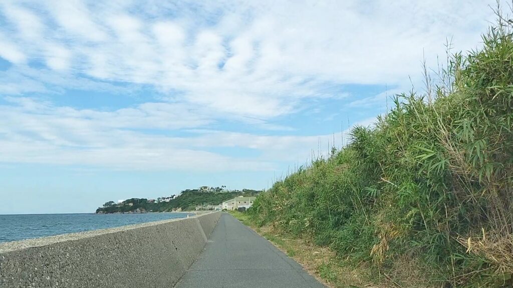 周辺のお散歩できる場所
