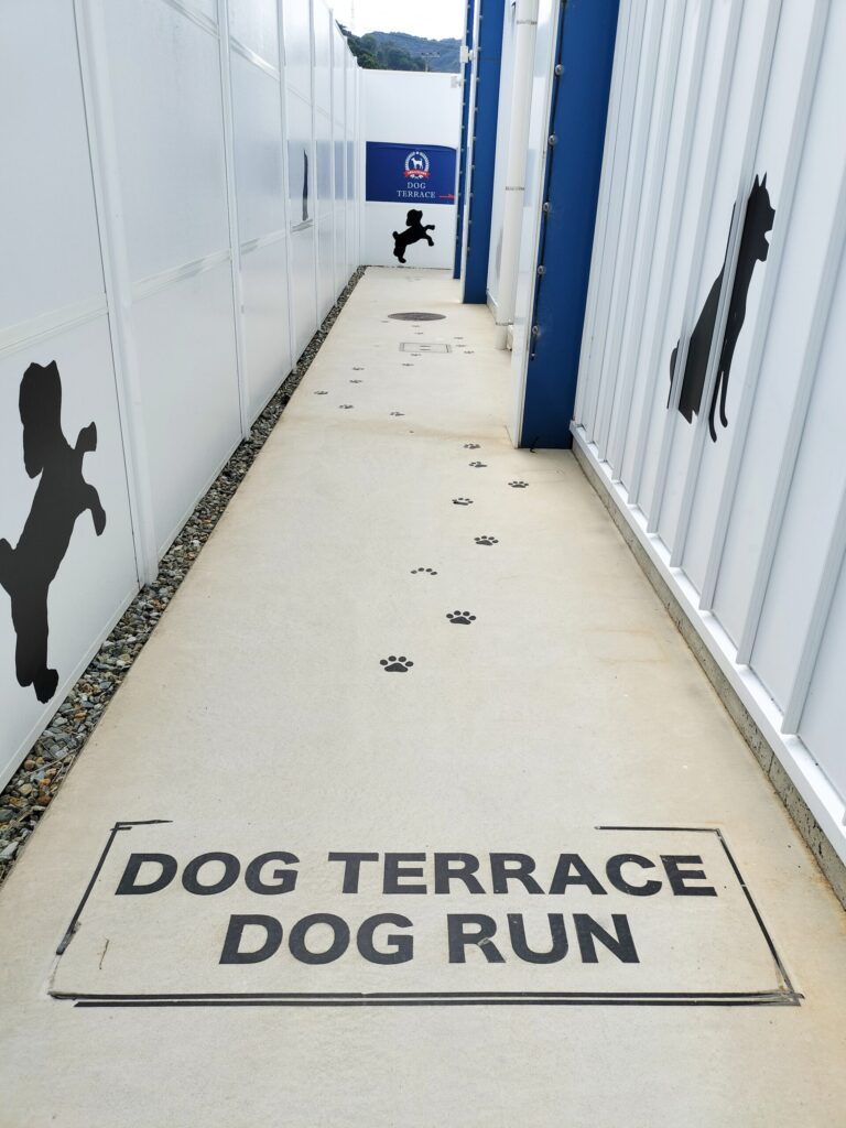 ドッグランに続く道