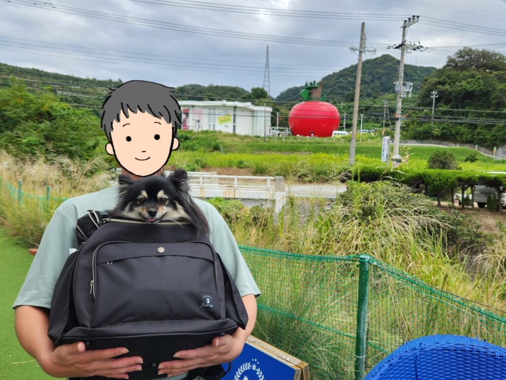 ドッグランエリア(りんごのおうち)