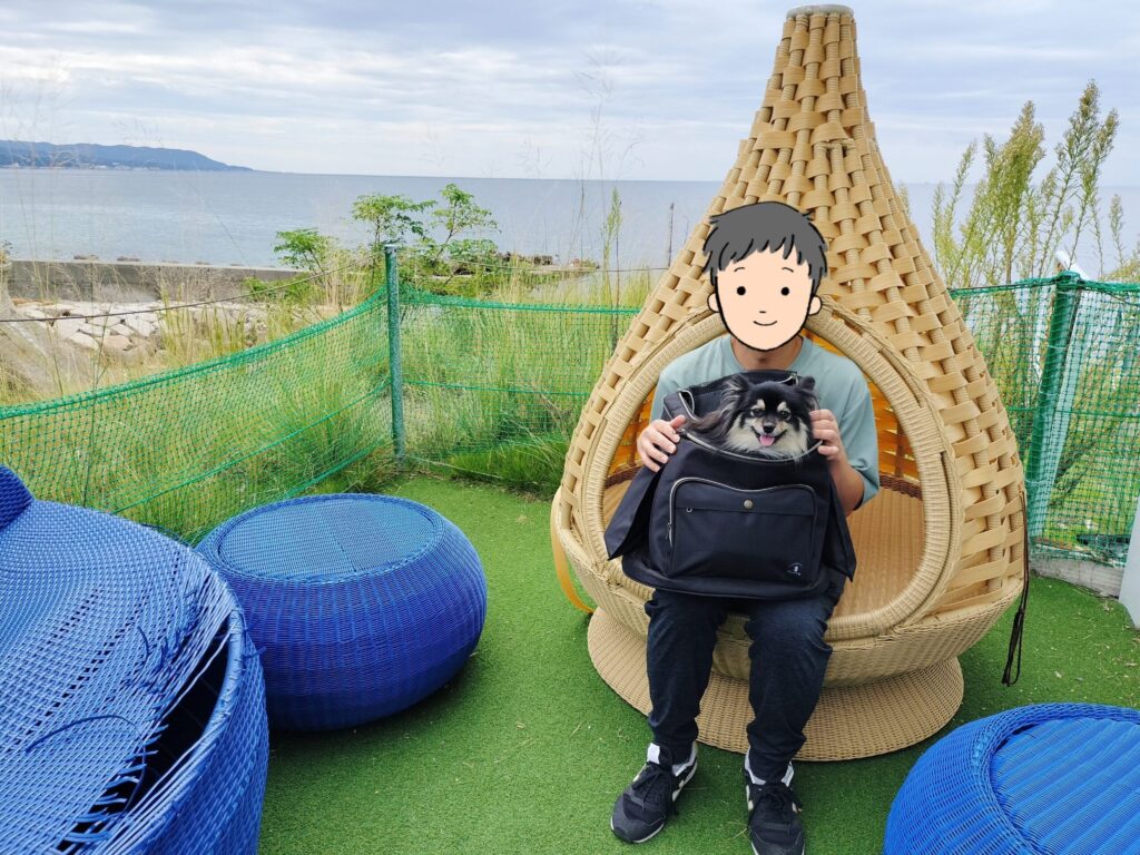 ドッグランエリア(海)