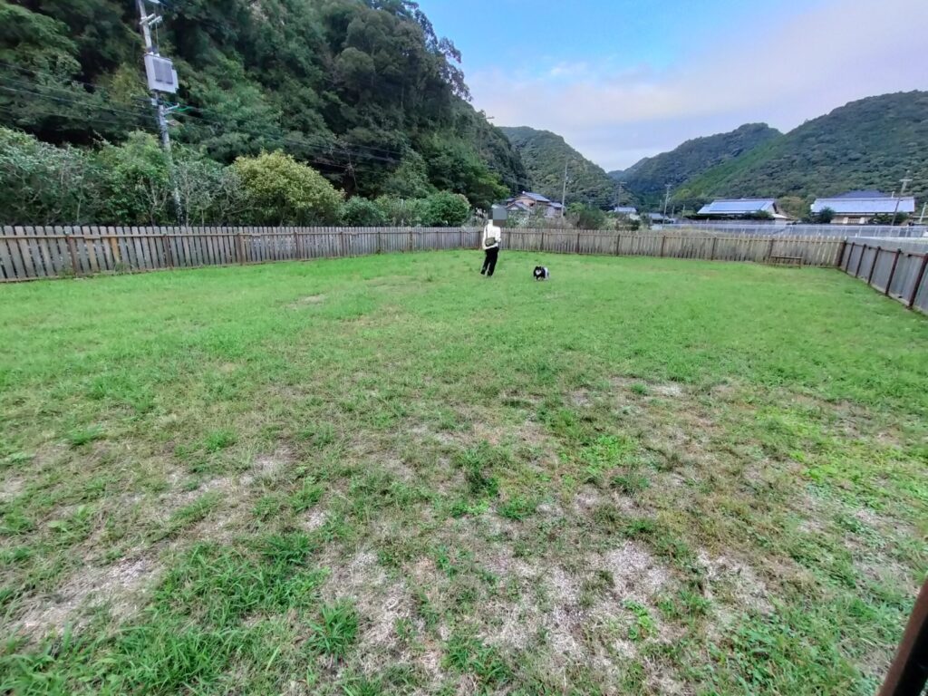 ドッグランといち