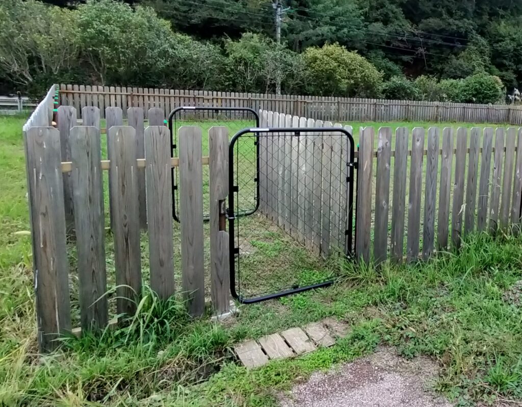 ドッグラン入口