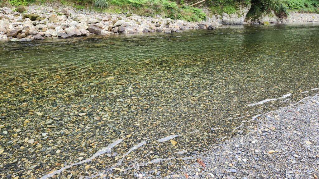 古座川の透明度