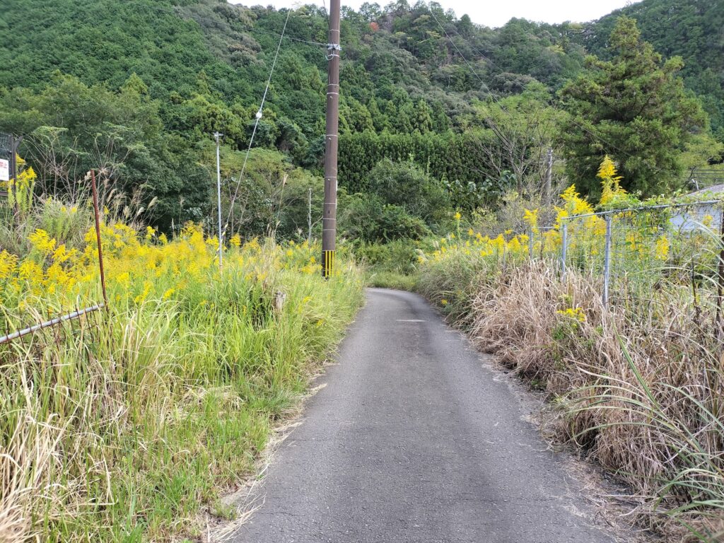 古座川までの道