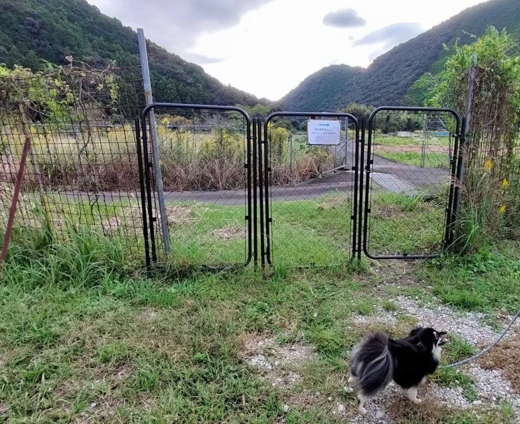 宿泊者専用の出入り口