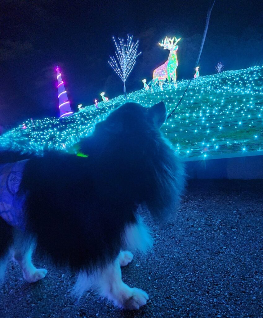 ハーベストの丘-いちと鹿