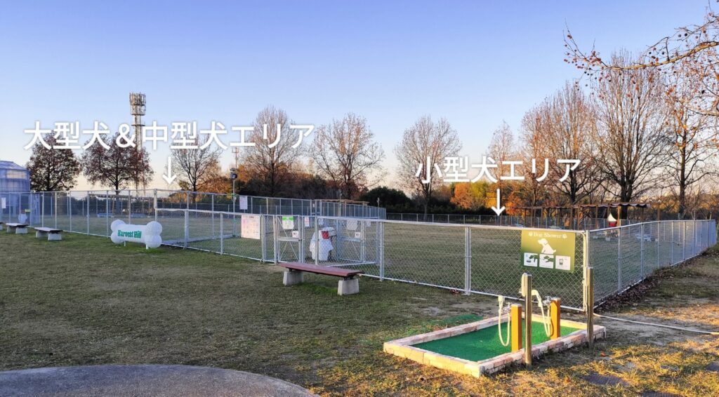 ハーベストの丘-ドッグラン昼