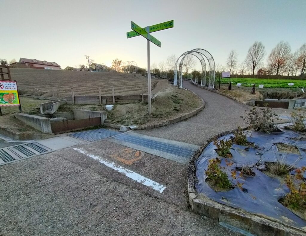 ハーベストの丘-坂道