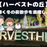 ハーベストの丘-夜アイキャッチ