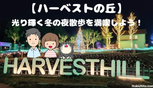 【大阪府】冬の夜は「ハーベストの丘」のイルミネーションで愛犬と幻想的な夜散歩を満喫しよう！