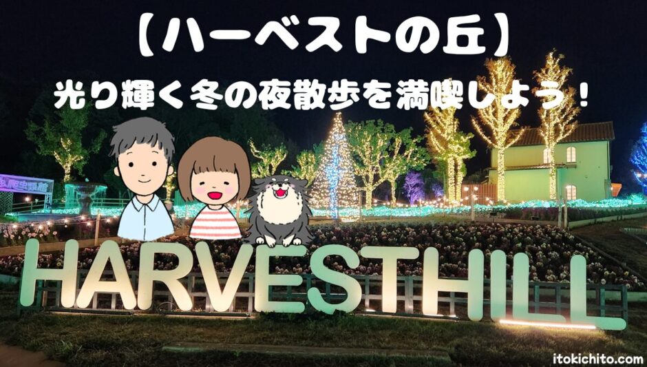ハーベストの丘-夜アイキャッチ
