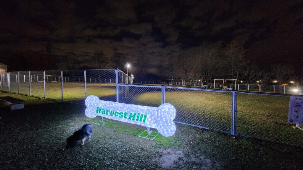 ハーベストの丘-夜ドッグラン