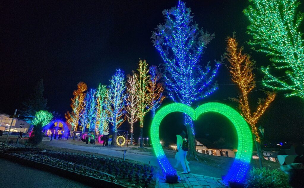 ハーベストの丘-夜ピクニック広場