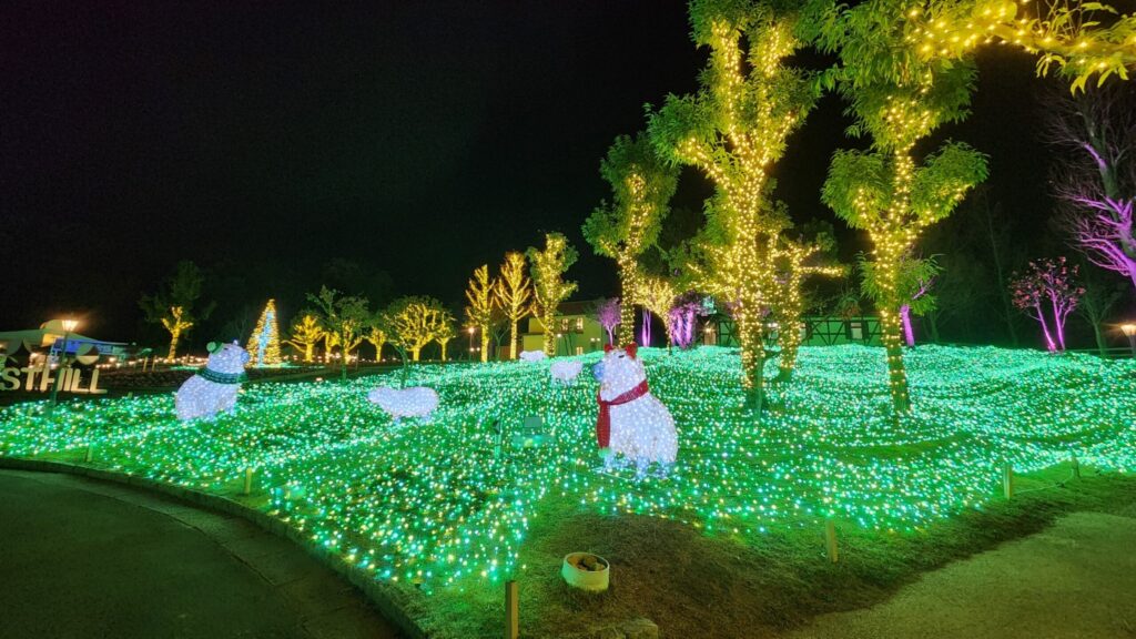 ハーベストの丘-夜入り口イルミネーション