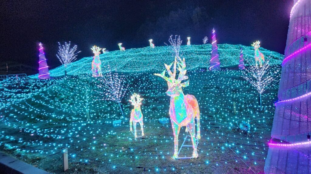 ハーベストの丘-夜鹿イルミネーション