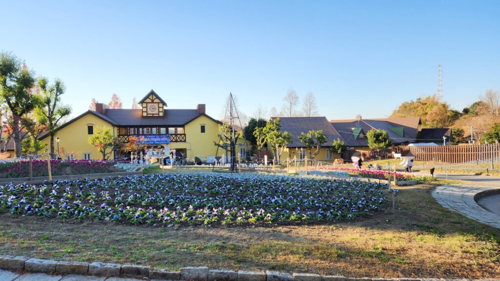 ハーベストの丘-季節の花