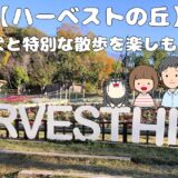 ハーベストの丘　昼アイキャッチ