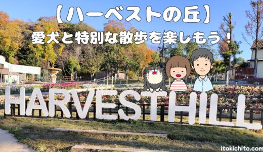 【大阪府】「ハーベストの丘」で愛犬と一緒にいつもとは違う特別な散歩を楽しもう！
