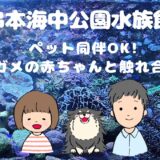 串本海中公園水族館 アイキャッチ