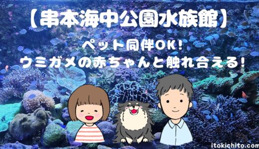 【和歌山県】ペット同伴で行ける水族館「串本海中公園水族館」で愛犬と一緒に海の世界を大冒険！