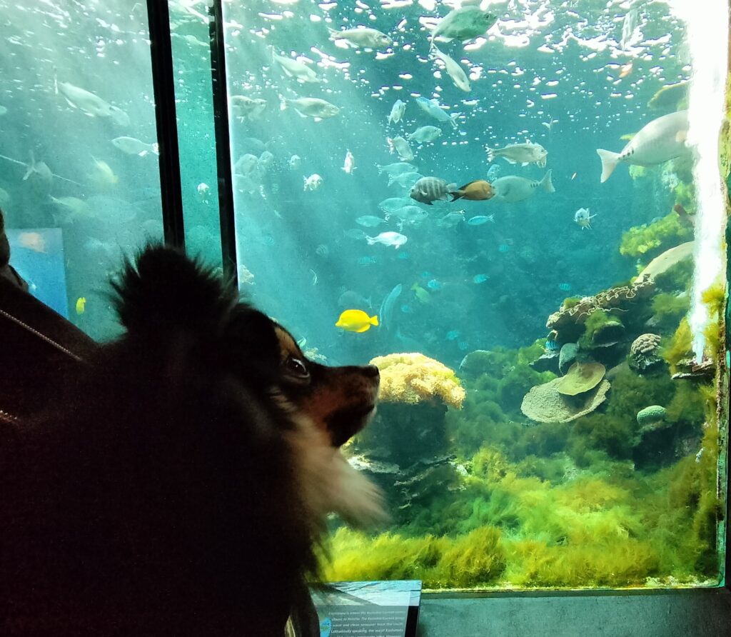 水族館内